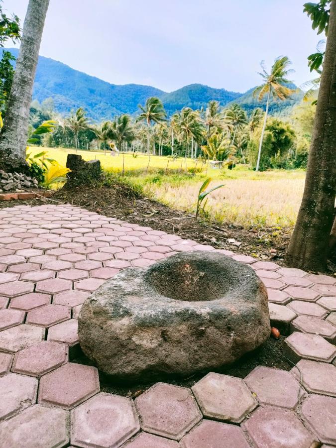Rumah Gadang Simarasok Baso Bagian luar foto