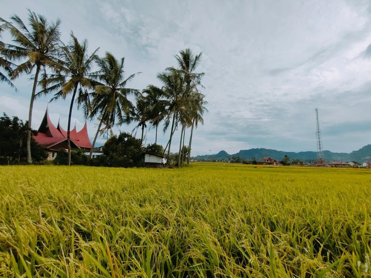 Rumah Gadang Simarasok Baso Bagian luar foto
