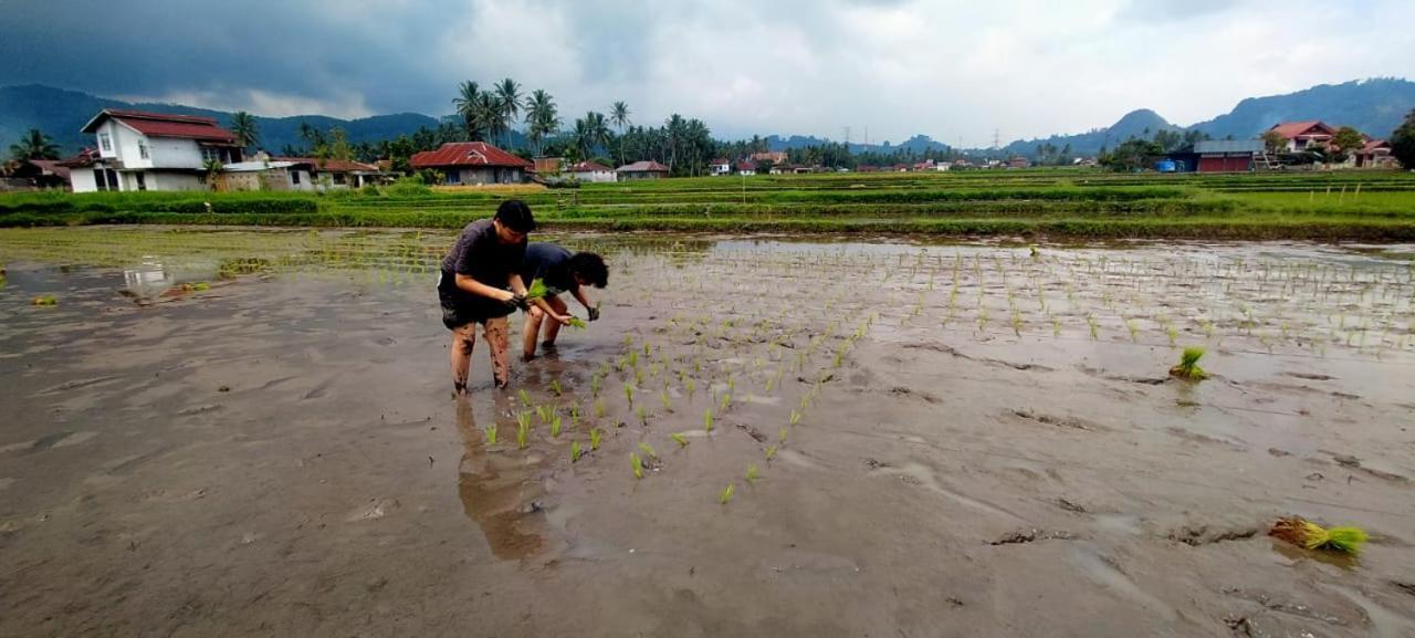Rumah Gadang Simarasok Baso Bagian luar foto